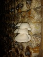 20130702 191502