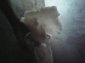 DSC 0000003