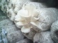 DSC 0000079