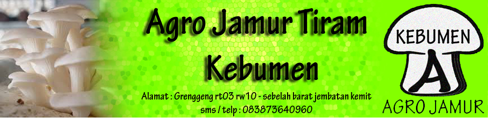 Heade2 1